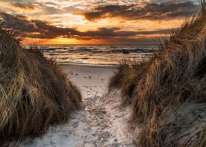 Apartment 6 Im Fischerhaus Mit Terrasse *